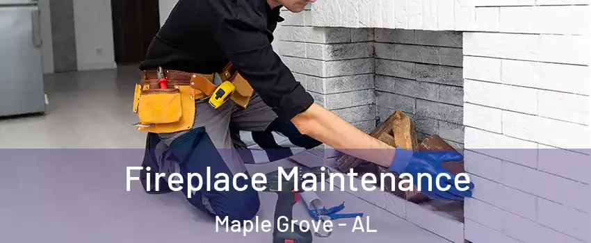 Fireplace Maintenance Maple Grove - AL