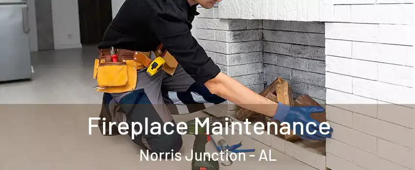 Fireplace Maintenance Norris Junction - AL