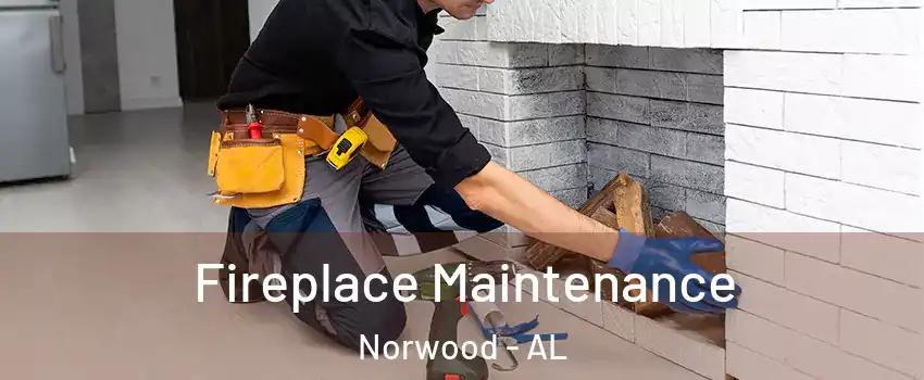 Fireplace Maintenance Norwood - AL