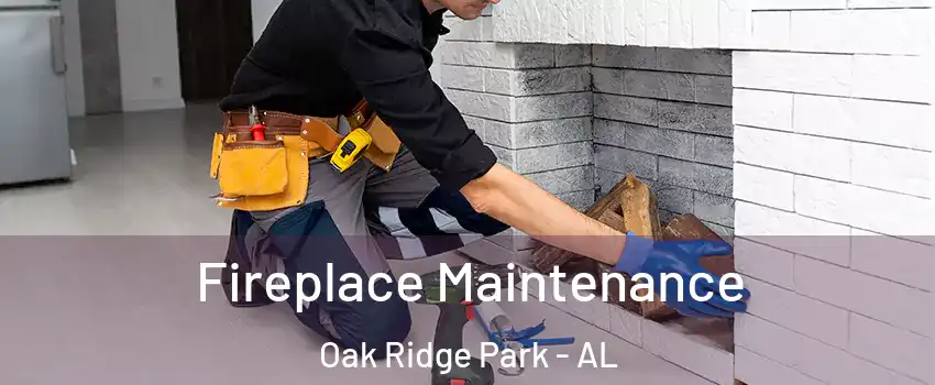Fireplace Maintenance Oak Ridge Park - AL
