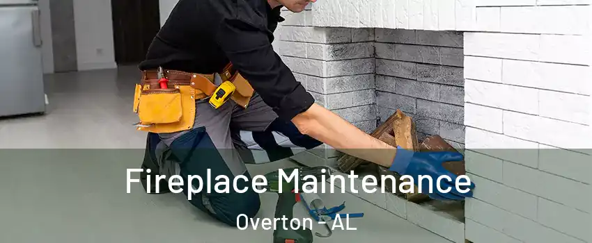 Fireplace Maintenance Overton - AL