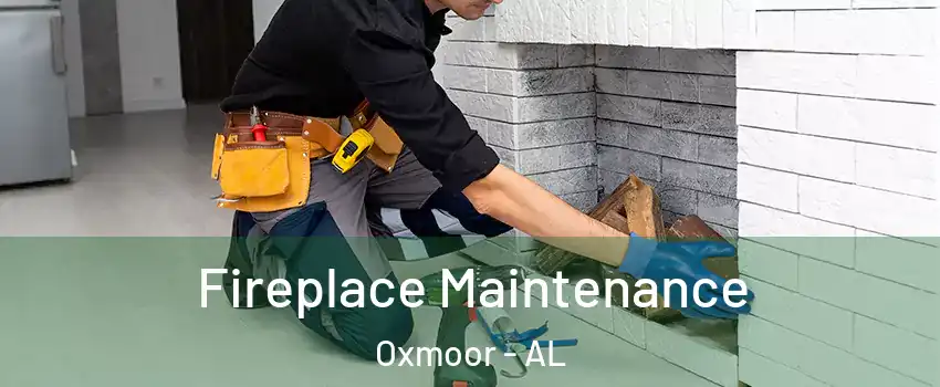 Fireplace Maintenance Oxmoor - AL