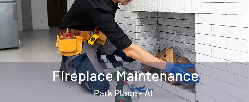Fireplace Maintenance Park Place - AL