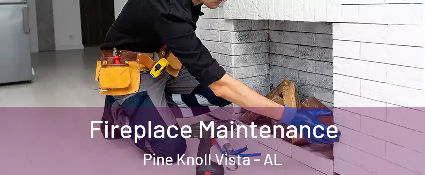 Fireplace Maintenance Pine Knoll Vista - AL