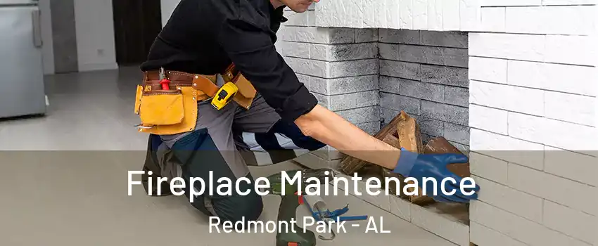 Fireplace Maintenance Redmont Park - AL