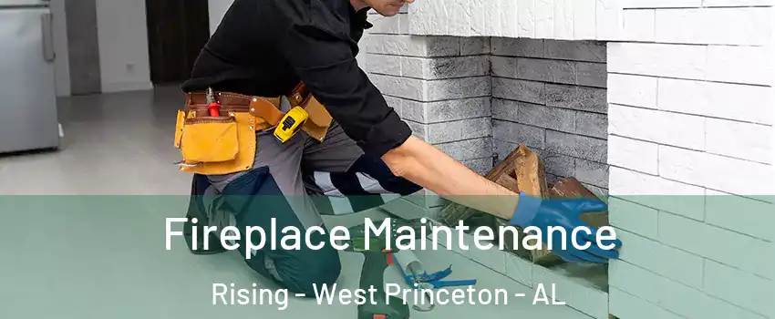 Fireplace Maintenance Rising - West Princeton - AL