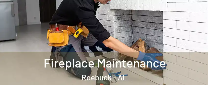 Fireplace Maintenance Roebuck - AL