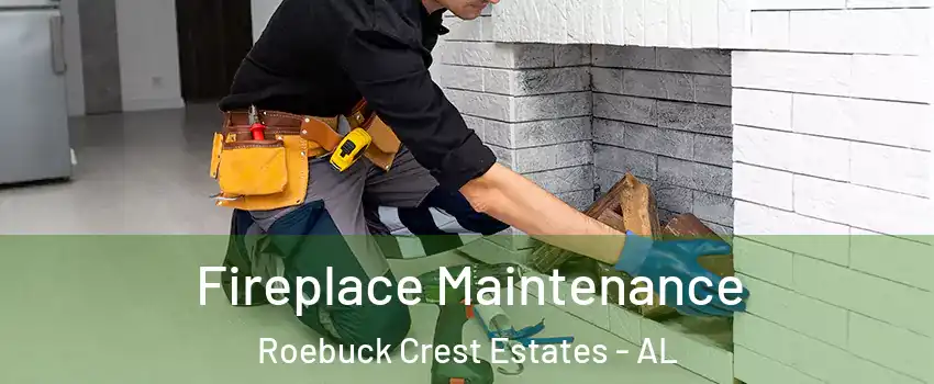 Fireplace Maintenance Roebuck Crest Estates - AL