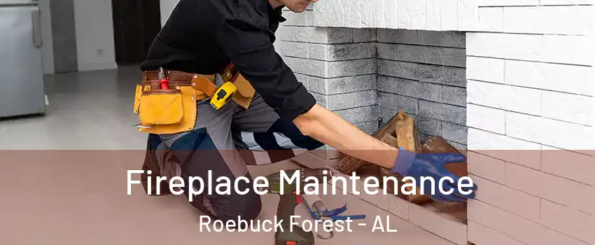 Fireplace Maintenance Roebuck Forest - AL