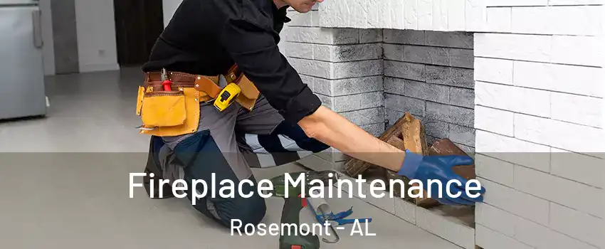 Fireplace Maintenance Rosemont - AL