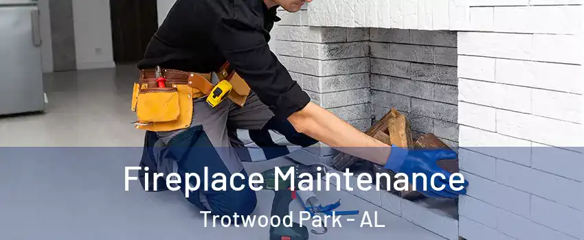 Fireplace Maintenance Trotwood Park - AL