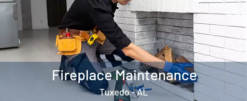 Fireplace Maintenance Tuxedo - AL