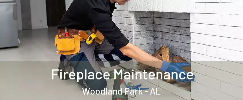 Fireplace Maintenance Woodland Park - AL