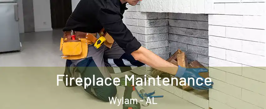 Fireplace Maintenance Wylam - AL