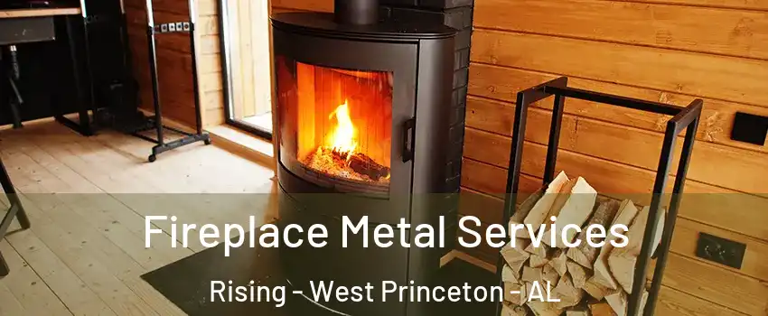 Fireplace Metal Services Rising - West Princeton - AL