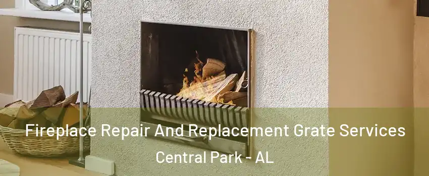 Fireplace Repair And Replacement Grate Services Central Park - AL