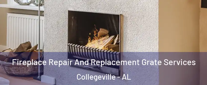 Fireplace Repair And Replacement Grate Services Collegeville - AL