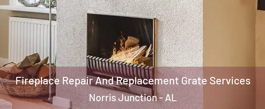 Fireplace Repair And Replacement Grate Services Norris Junction - AL