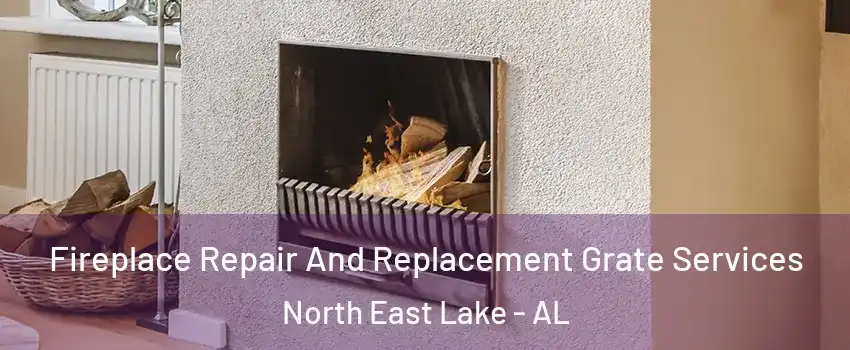 Fireplace Repair And Replacement Grate Services North East Lake - AL