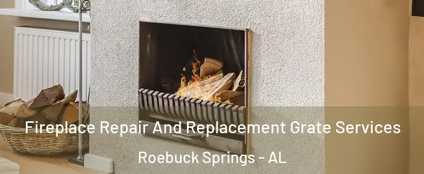 Fireplace Repair And Replacement Grate Services Roebuck Springs - AL