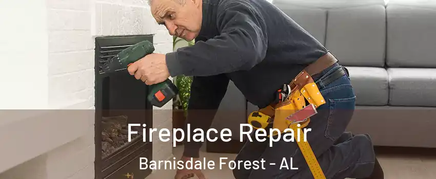 Fireplace Repair Barnisdale Forest - AL