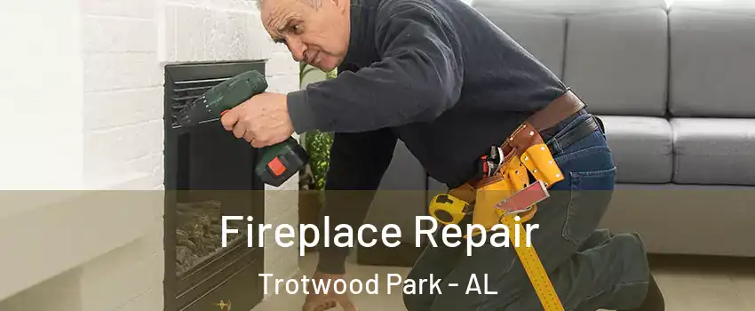 Fireplace Repair Trotwood Park - AL