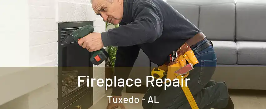 Fireplace Repair Tuxedo - AL