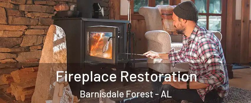 Fireplace Restoration Barnisdale Forest - AL