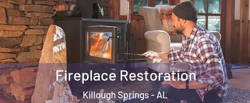 Fireplace Restoration Killough Springs - AL