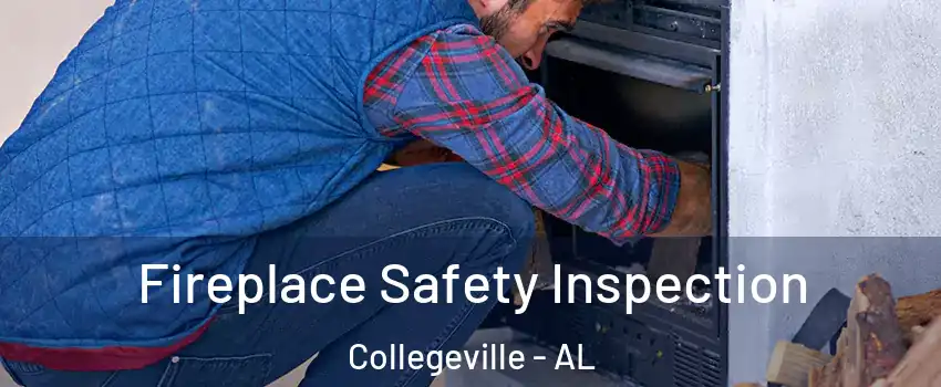 Fireplace Safety Inspection Collegeville - AL