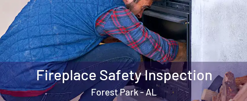 Fireplace Safety Inspection Forest Park - AL