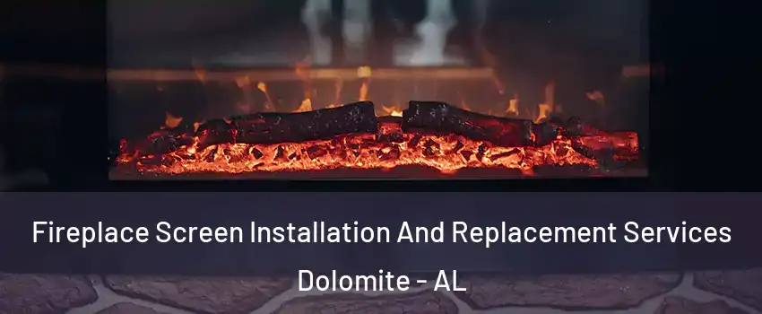 Fireplace Screen Installation And Replacement Services Dolomite - AL