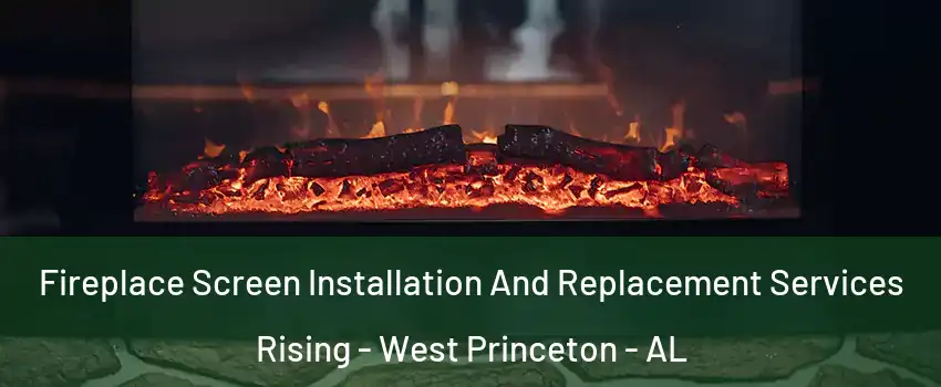 Fireplace Screen Installation And Replacement Services Rising - West Princeton - AL