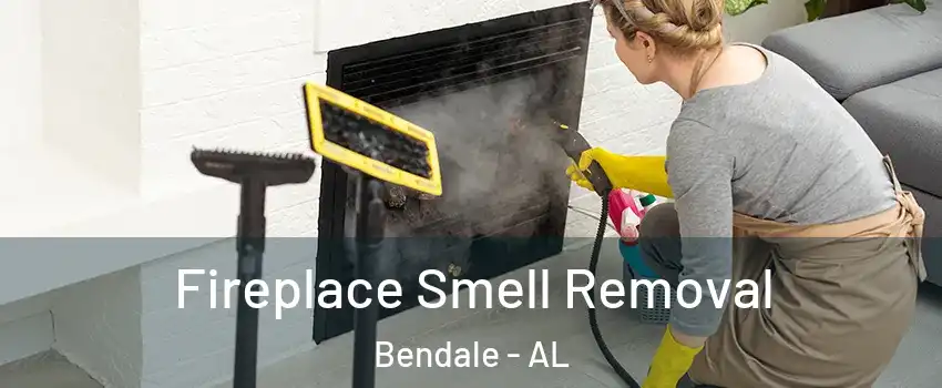 Fireplace Smell Removal Bendale - AL