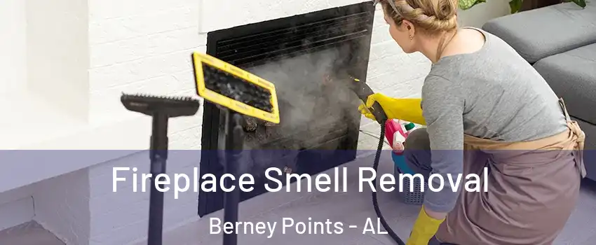 Fireplace Smell Removal Berney Points - AL
