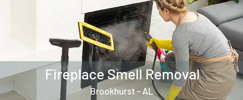 Fireplace Smell Removal Brookhurst - AL