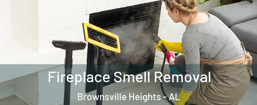 Fireplace Smell Removal Brownsville Heights - AL