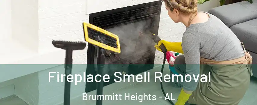 Fireplace Smell Removal Brummitt Heights - AL