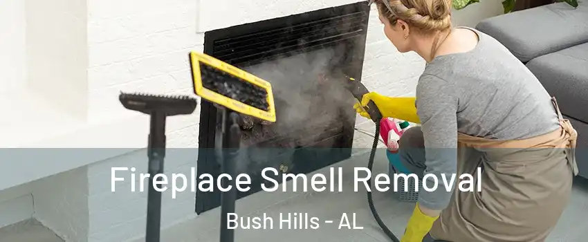 Fireplace Smell Removal Bush Hills - AL