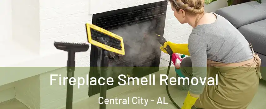 Fireplace Smell Removal Central City - AL