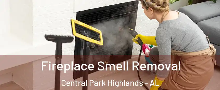 Fireplace Smell Removal Central Park Highlands - AL