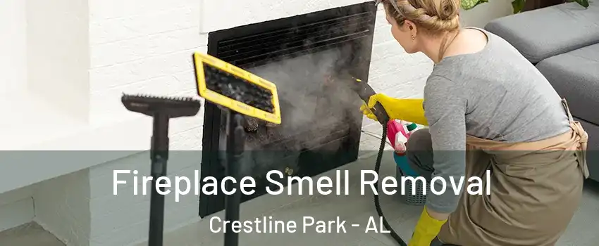 Fireplace Smell Removal Crestline Park - AL