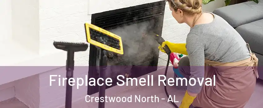 Fireplace Smell Removal Crestwood North - AL