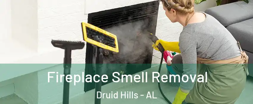 Fireplace Smell Removal Druid Hills - AL