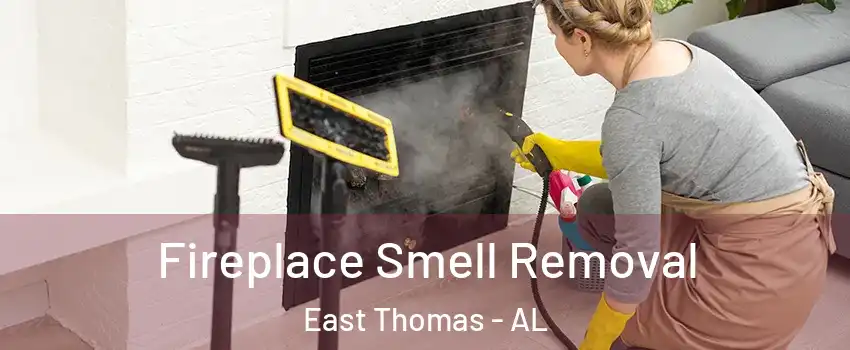 Fireplace Smell Removal East Thomas - AL