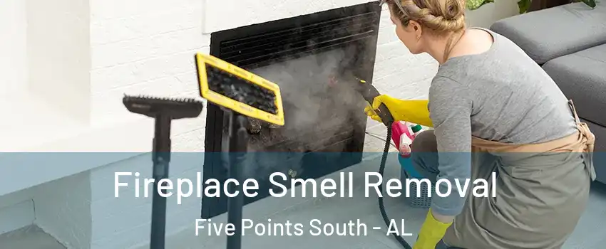Fireplace Smell Removal Five Points South - AL
