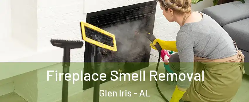 Fireplace Smell Removal Glen Iris - AL