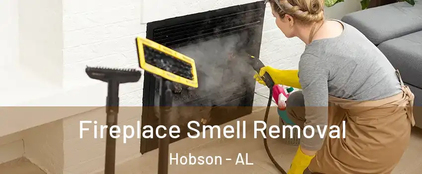 Fireplace Smell Removal Hobson - AL