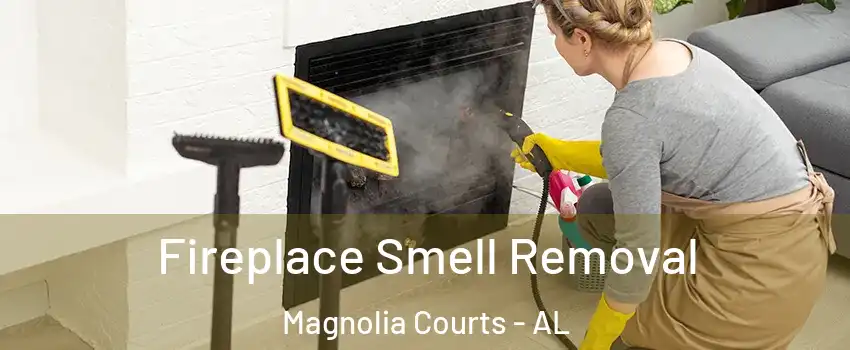 Fireplace Smell Removal Magnolia Courts - AL