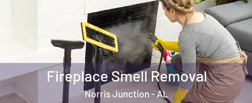 Fireplace Smell Removal Norris Junction - AL
